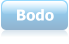 Bodo