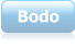 Bodo